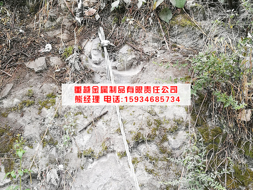 楓香K218-219段公路邊坡防護工程